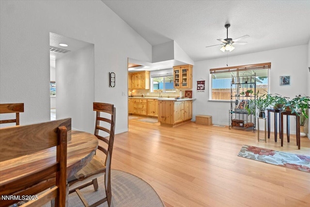 742 Long Valley Rd, Gardnerville, NV 89460 - dining space with ceiling fan, light wood-style floors, plenty of natural light, vaulted ceiling, and a textured ceiling