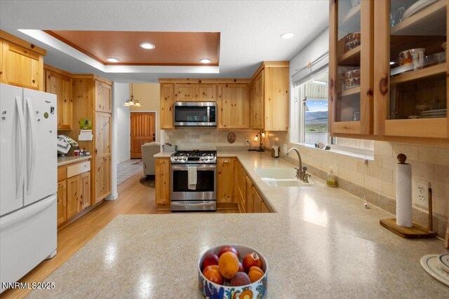 742 Long Valley Rd, Gardnerville, NV 89460 - kitchen featuring stainless steel appliances, light countertops, tasteful backsplash, a tray ceiling, and recessed lighting
