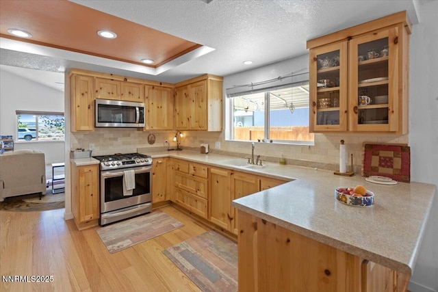 742 Long Valley Rd, Gardnerville, NV 89460 - kitchen with appliances with stainless steel finishes, light wood-type flooring, light countertops, decorative backsplash, and a peninsula