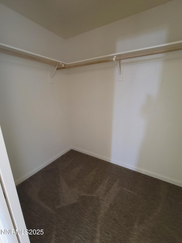 159 Shadow Mountain Dr, Fernley, NV 89408 - spacious closet featuring dark carpet