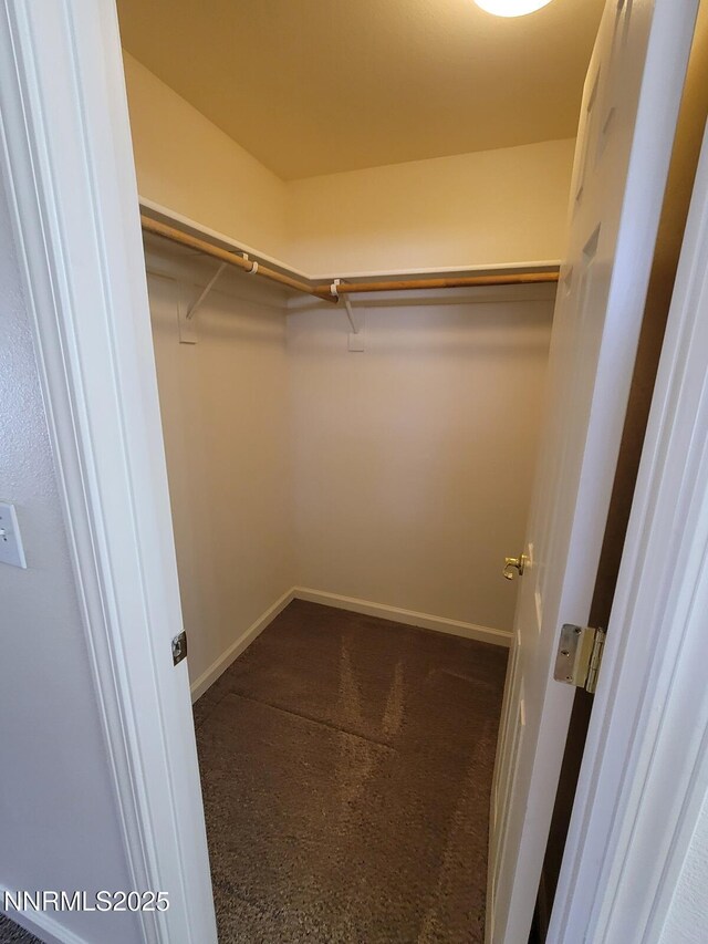 159 Shadow Mountain Dr, Fernley, NV 89408 - walk in closet with carpet flooring