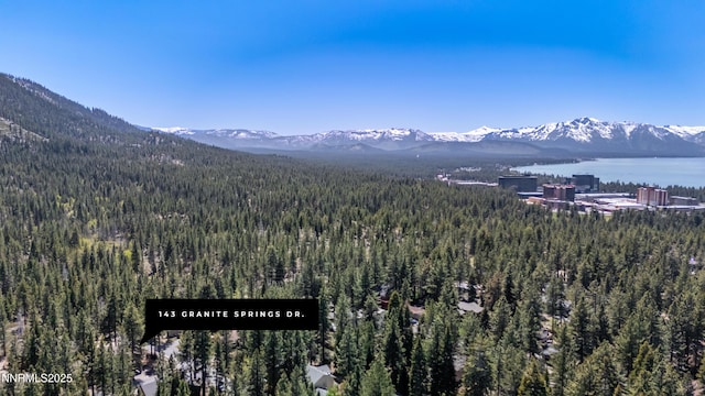 143 Granite Springs Dr, Stateline, NV 89449 - view of mountain backdrop with a forest and a nearby body of water
