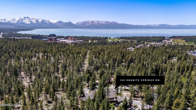 143 Granite Springs Dr, Stateline, NV 89449 - view of mountain background featuring a heavily wooded area and a nearby body of water