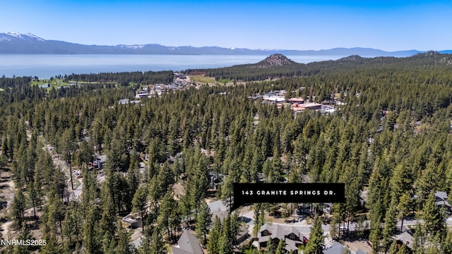 143 Granite Springs Dr, Stateline, NV 89449 - view of property location with a forest and mountains