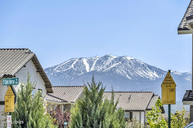 1940 Dark Horse Rd Unit C, Reno, NV 89521 - view of mountain background
