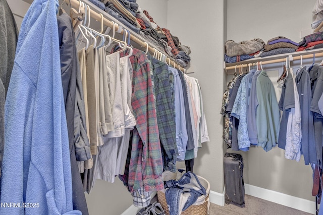 1940 Dark Horse Rd Unit C, Reno, NV 89521 - spacious closet featuring carpet floors