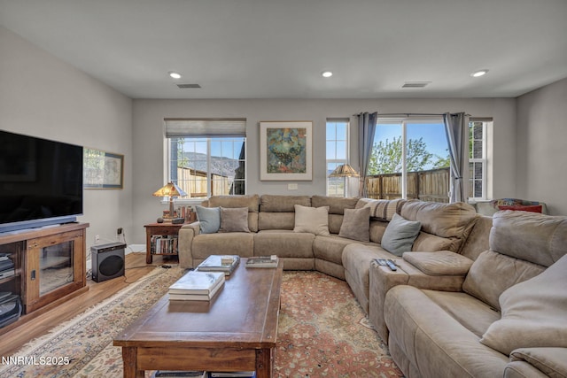 1940 Dark Horse Rd Unit C, Reno, NV 89521 - living room featuring recessed lighting and wood finished floors