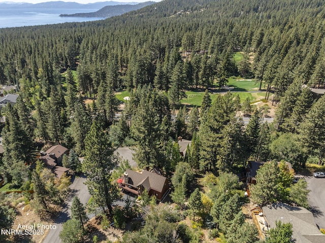 968 Pyrite Ct, Incline Village, NV 89451 - aerial overview of property's location featuring a forest and mountains