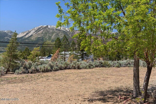 1725 Brenda Way, Washoe Valley, NV 89704 - photo 38