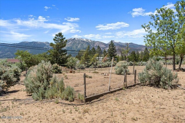 1725 Brenda Way, Washoe Valley, NV 89704 - photo 39