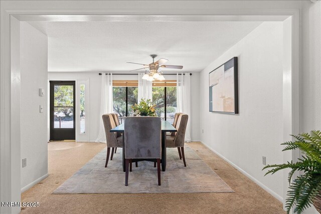 1725 Brenda Way, Washoe Valley, NV 89704 - photo 6