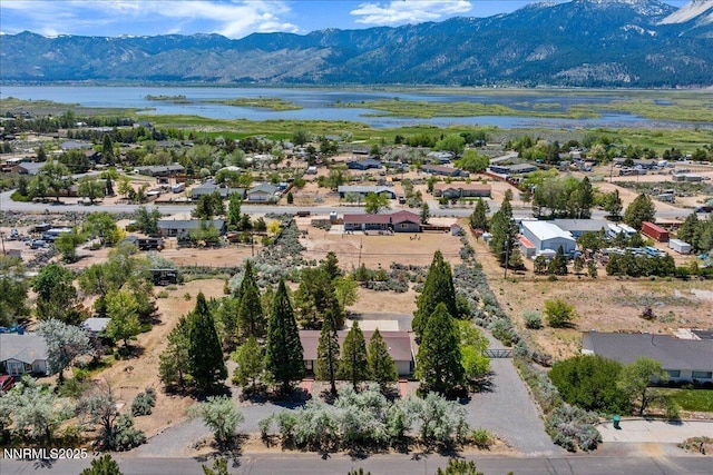 1725 Brenda Way, Washoe Valley, NV 89704 - photo 43