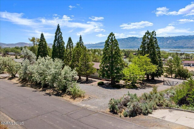 1725 Brenda Way, Washoe Valley, NV 89704 - photo 46