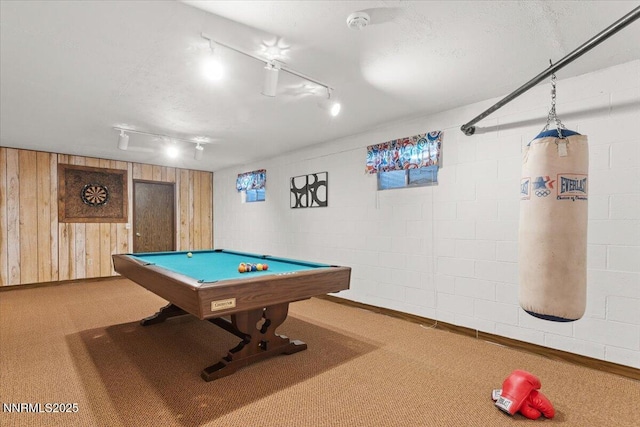 1725 Brenda Way, Washoe Valley, NV 89704 - photo 29