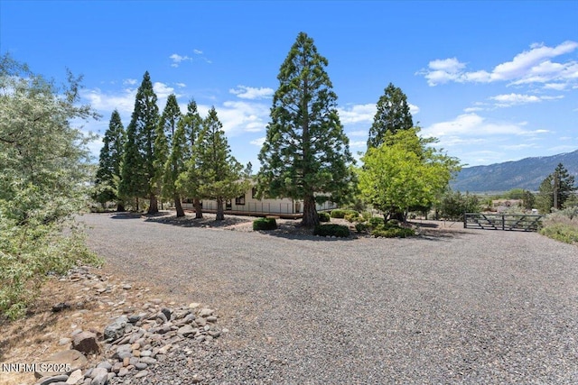 1725 Brenda Way, Washoe Valley, NV 89704 - photo 53