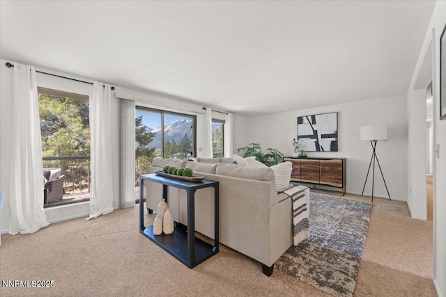 1725 Brenda Way, Washoe Valley, NV 89704 - photo 5