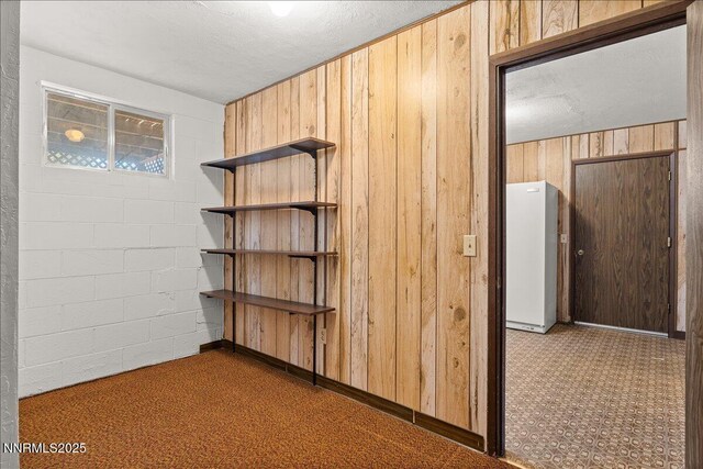 1725 Brenda Way, Washoe Valley, NV 89704 - photo 24