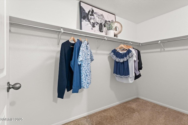1725 Brenda Way, Washoe Valley, NV 89704 - photo 20