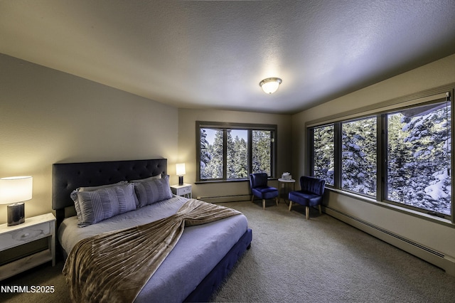 124 Delissa Ct, Stateline, NV 89449 - carpeted bedroom with baseboard heating