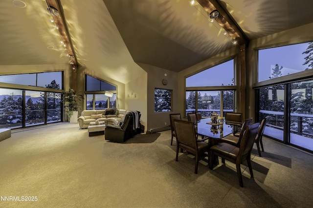 124 Delissa Ct, Stateline, NV 89449 - dining room with carpet, track lighting, beam ceiling, a baseboard heating unit, and high vaulted ceiling