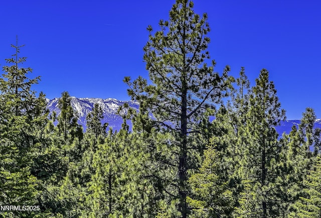124 Delissa Ct, Stateline, NV 89449 - view of woods featuring a mountain view