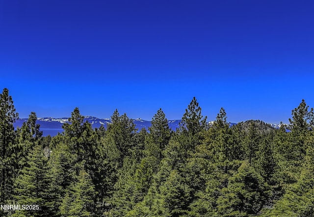 124 Delissa Ct, Stateline, NV 89449 - view of mountain backdrop with a heavily wooded area