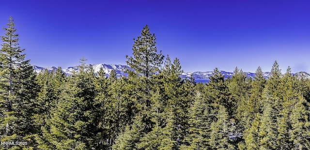 124 Delissa Ct, Stateline, NV 89449 - view of mountain backdrop featuring a heavily wooded area