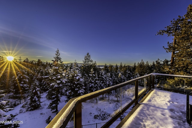 124 Delissa Ct, Stateline, NV 89449 - view of snow covered back of property