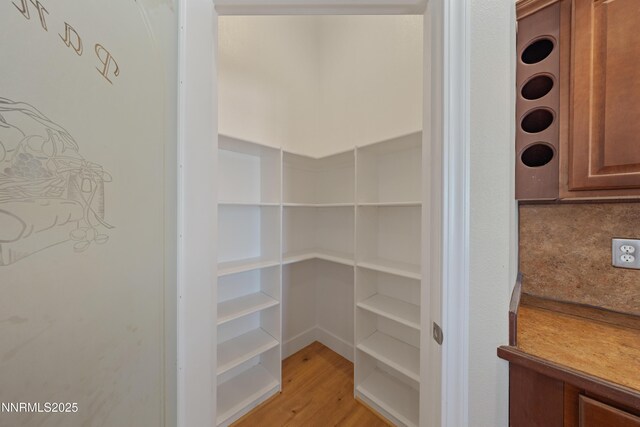 1260 Badger St, Silver Springs, NV 89429 - view of storage area