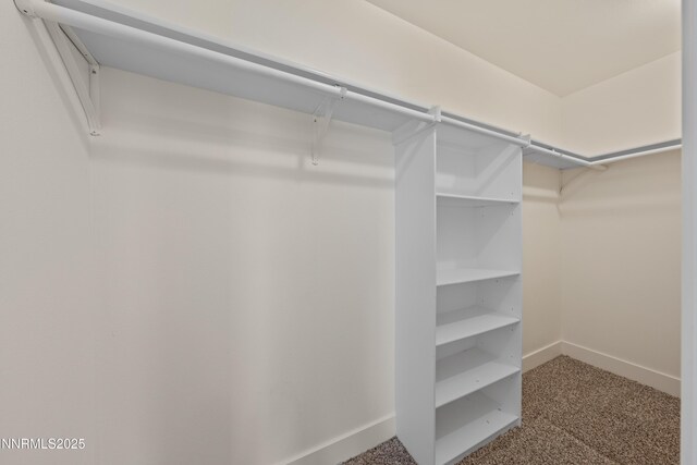 1260 Badger St, Silver Springs, NV 89429 - walk in closet with carpet flooring