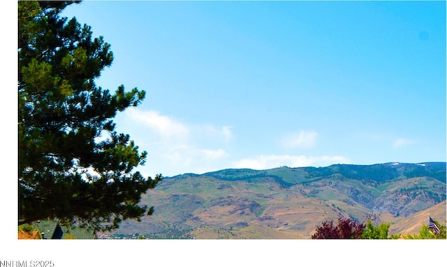 1664 Shadow Wood Rd, Reno, NV 89523 - mountain view