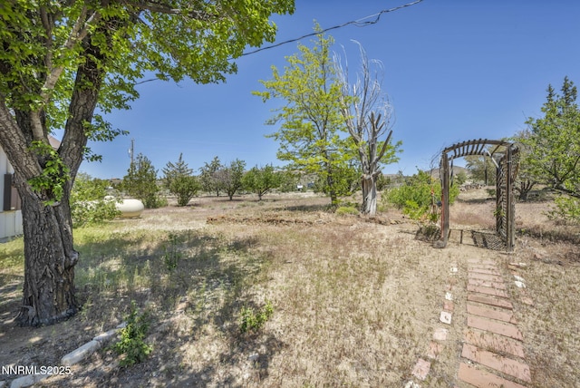 670 Valle Verde Dr, Sparks, NV 89441 - view of yard