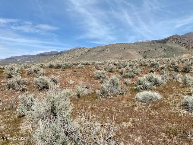 12240 Pershing Trl, Lovelock, NV 89419