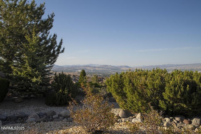10168 Via Fiori, Reno, NV 89511 - view of mountain background