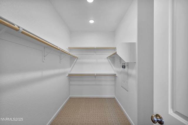 6776 Shell Ct Lot 51, Fernley, NV 89408 - spacious closet featuring light colored carpet