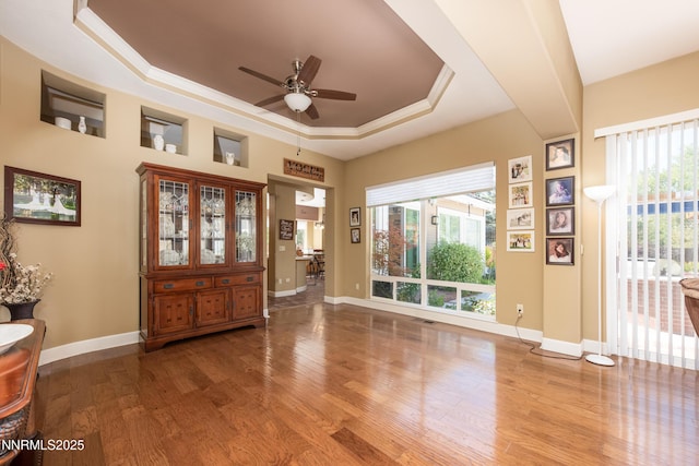 2080 St George Way, Carson City, NV 89703 - foyer entrance with wood finished floors, a tray ceiling, ceiling fan, and plenty of natural light