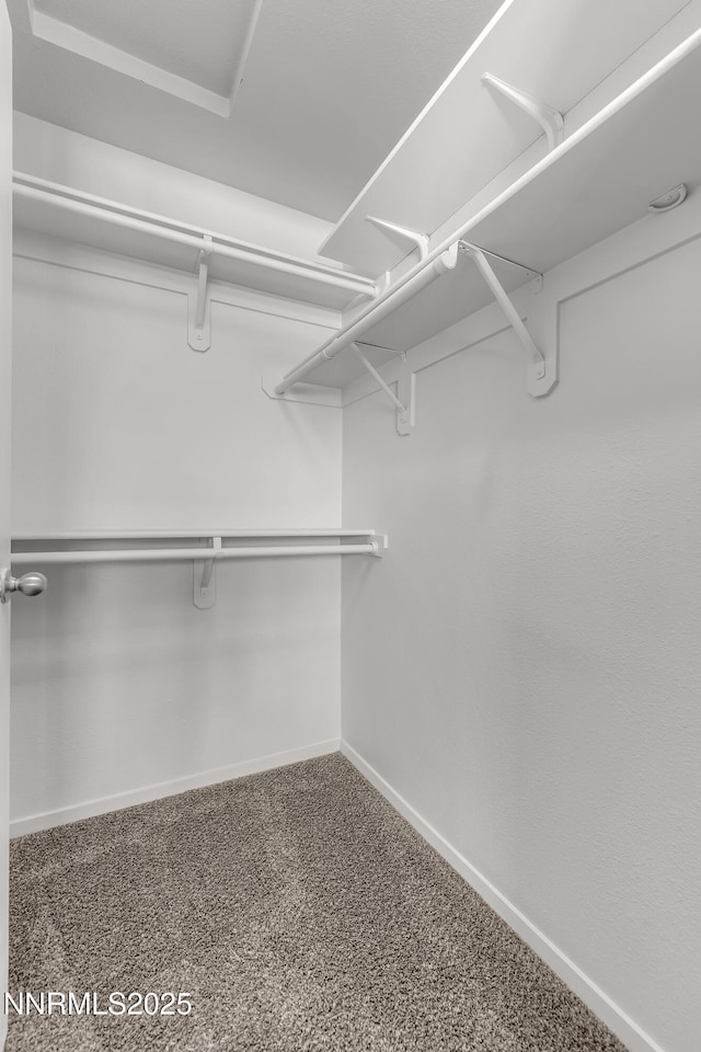6850 Sharlands Ave Unit Ac2179, Reno, NV 89523 - spacious closet featuring carpet floors