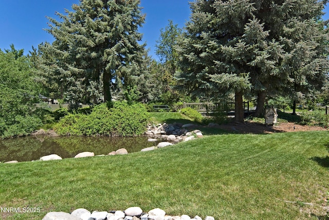 4115 Willowsprings Ct, Reno, NV 89519 - view of grassy yard