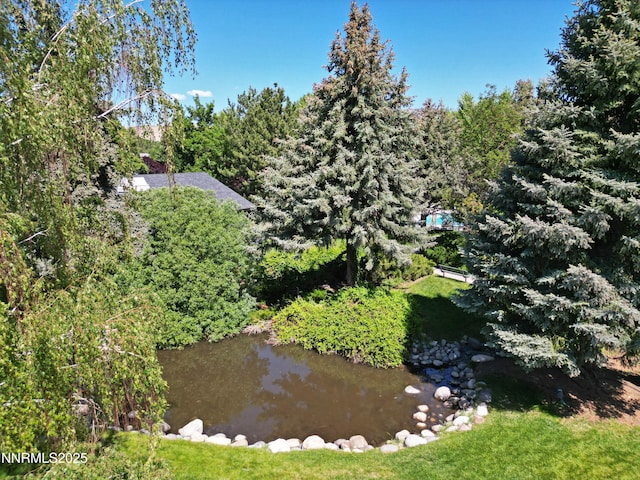 4115 Willowsprings Ct, Reno, NV 89519 - aerial view