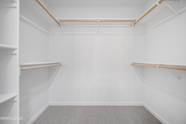 342 Bens Way, Fernley, NV 89408 - walk in closet with carpet floors