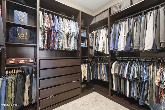 9425 Stony Hill Rd, Reno, NV 89521 - view of walk in closet