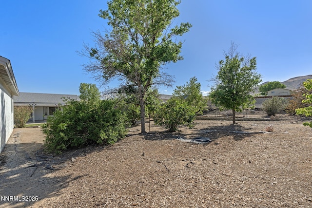 439 Beau Ct, Sparks, NV 89436 - view of yard