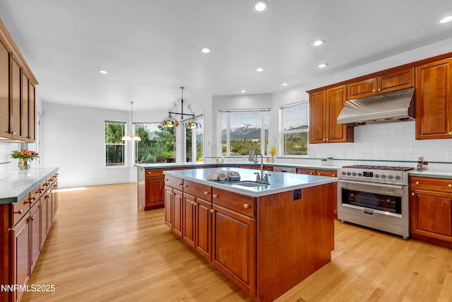 615 Oxbow Ct, Reno, NV 89511 - kitchen featuring under cabinet range hood, stainless steel range, a sink, light wood-style flooring, and a kitchen island with sink