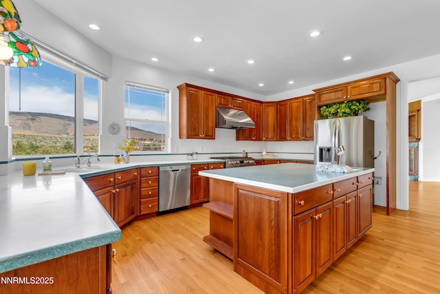 615 Oxbow Ct, Reno, NV 89511 - kitchen featuring stainless steel appliances, under cabinet range hood, light wood-type flooring, recessed lighting, and light countertops