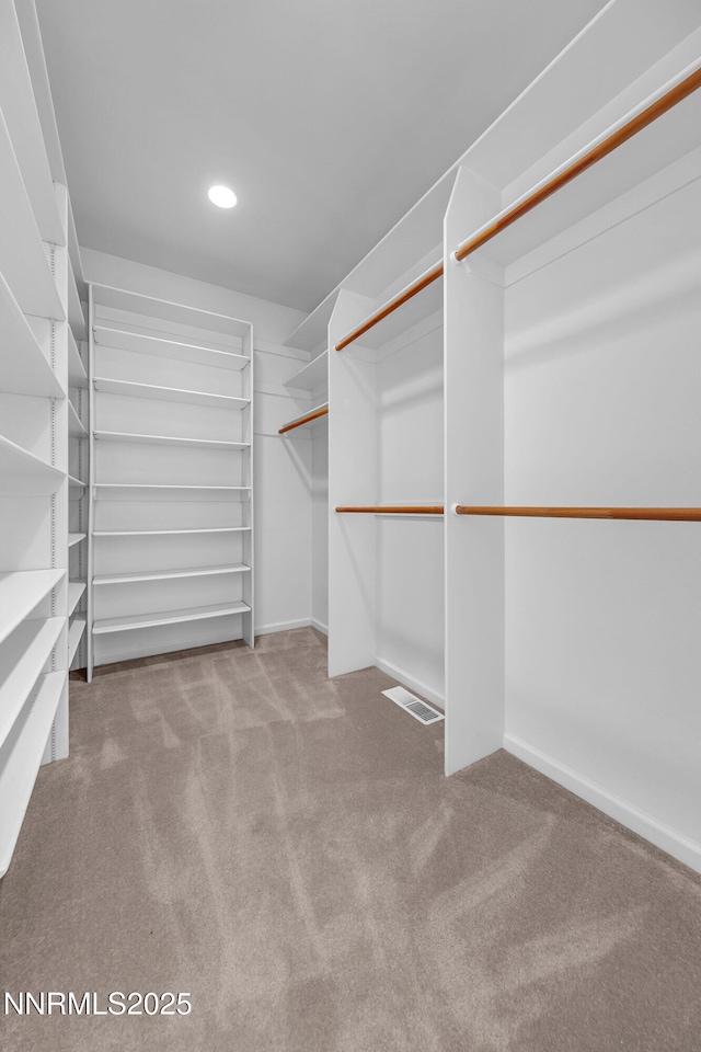 615 Oxbow Ct, Reno, NV 89511 - spacious closet featuring carpet