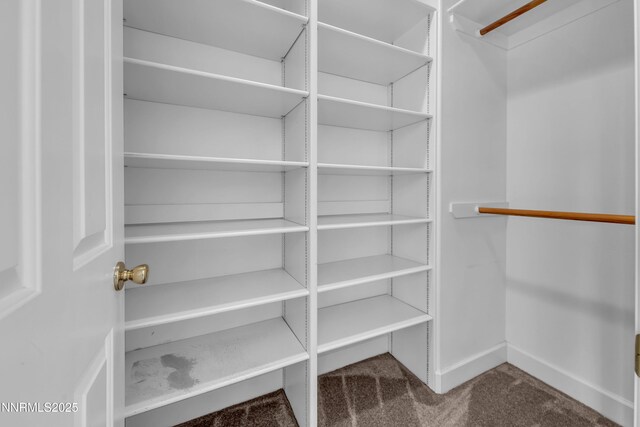 615 Oxbow Ct, Reno, NV 89511 - walk in closet with carpet