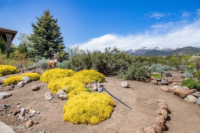 615 Oxbow Ct, Reno, NV 89511 - view of yard with a mountain view