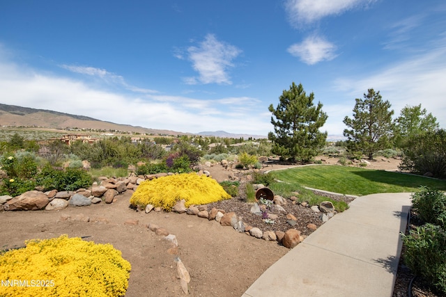 615 Oxbow Ct, Reno, NV 89511 - view of green lawn featuring a mountain view