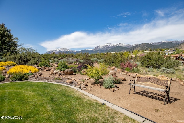 615 Oxbow Ct, Reno, NV 89511 - mountain view