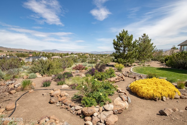 615 Oxbow Ct, Reno, NV 89511 - view of yard featuring a mountain view